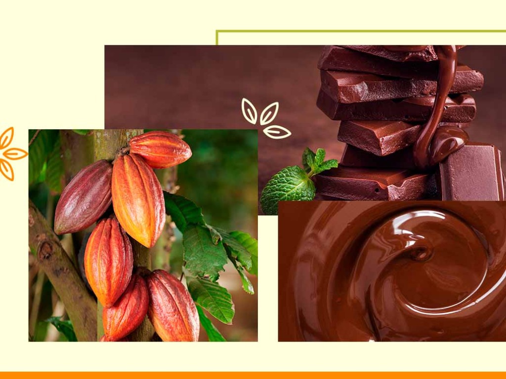 Nutri: por que inverno e chocolates combinam?